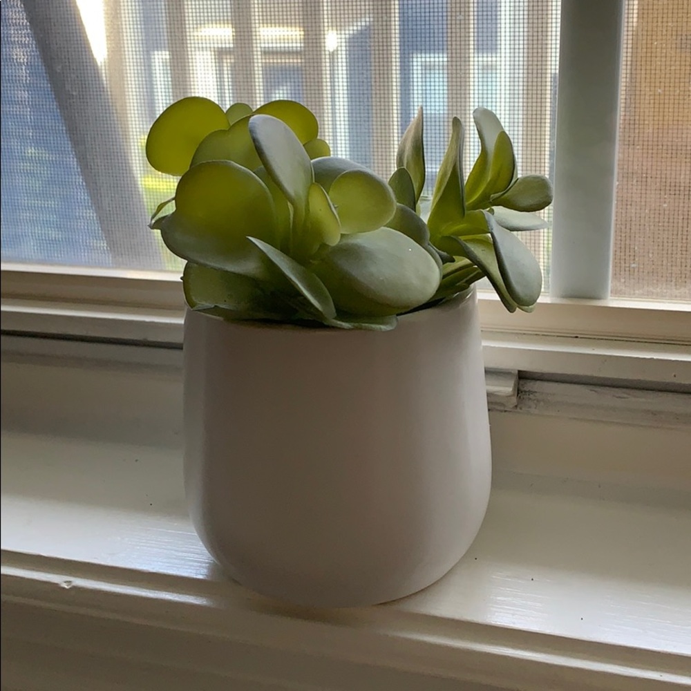 Faux plant